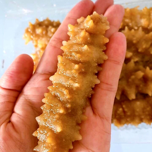 hải sâm gai vàng